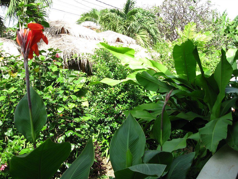 The Villa Paradiso Ltd. Phnom Penh Esterno foto